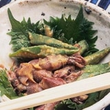 ホタルイカ